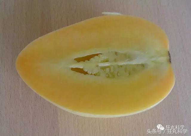 纯碱是碱吗，纯碱的原料是什么（15个明目张胆骗你的名字）