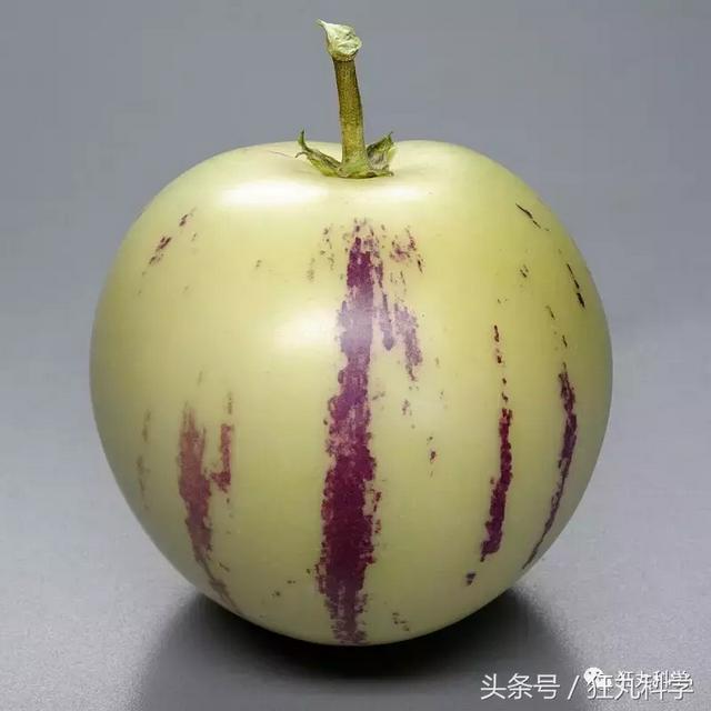 纯碱是碱吗，纯碱的原料是什么（15个明目张胆骗你的名字）