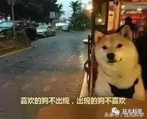 纯碱是碱吗，纯碱的原料是什么（15个明目张胆骗你的名字）