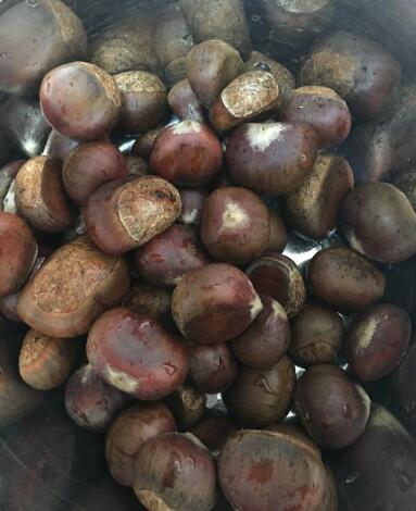 图片[2]-【电饭锅糖炒板栗】做法步骤图 香糯甘甜好剥皮 大人小孩都爱-起舞食谱网