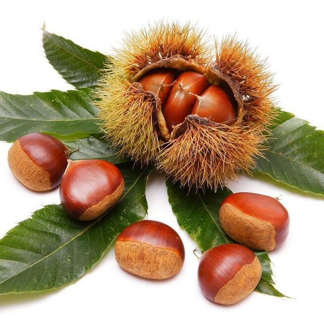 【电饭锅糖炒板栗】做法步骤图 香糯甘甜好剥皮 大人小孩都爱-起舞食谱网