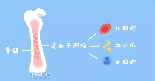 宝宝贫血的症状有哪些,幼儿贫血有什么症状(宝宝有没有贫血,看这个最简单) 宝宝贫血的症状有哪些,幼儿贫血有什么症状(宝宝有没有贫血,看这个最简单)