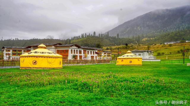 林芝一日游，林芝一日游一生必须去的地方（7天时间深度游玩西藏林芝）