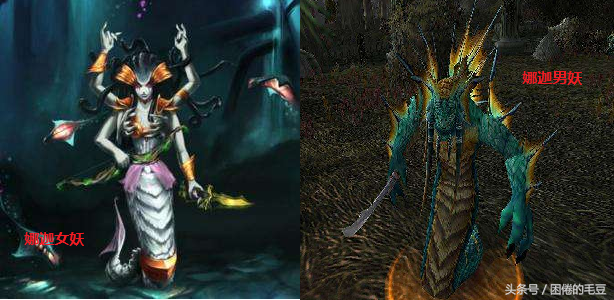 娜迦族是什么族，娜迦族是什么意思（娜迦族——曾经高贵的上层精灵）