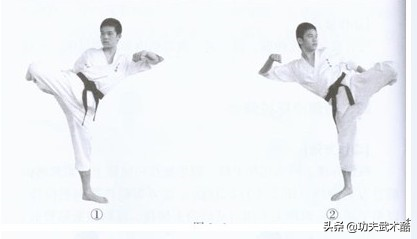 空手道教程，空手道在哪里学（空手道基本技术）