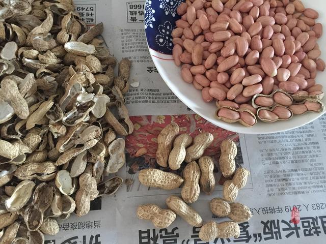 微波炉烤花生怎么做最好吃，大厨分享烤花生米独家做法