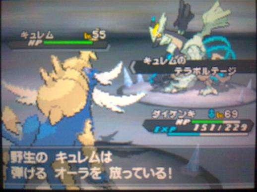 口袋妖怪白与黑有什么不同，口袋妖怪黑白精灵区别（《口袋妖怪黑2·白2》）