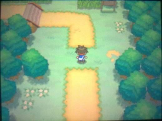 口袋妖怪白与黑有什么不同，口袋妖怪黑白精灵区别（《口袋妖怪黑2·白2》）