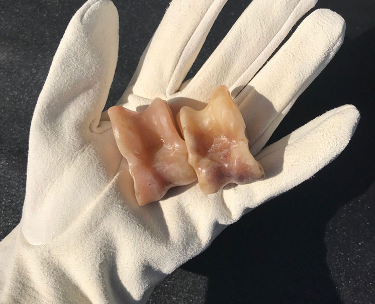 狗牙盘玩后的效果,另类重口味文玩