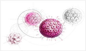 tbs是什么意思，tbs和tct有什么区别（HPV和TCT的报告单怎么看）
