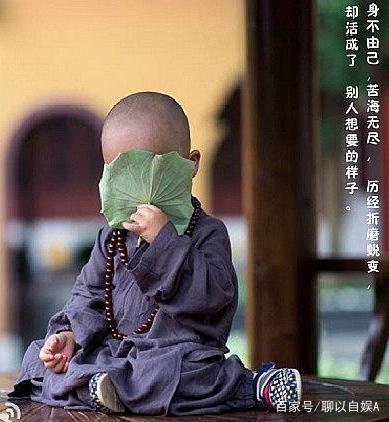 一禅小和尚图片，【一禅小和尚】可爱的小和尚啊（你也太萌了吧，一禅和尚）