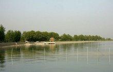 三国时期寿春是是属于哪国，三国寿春是现在哪里（安徽省寿县概况）