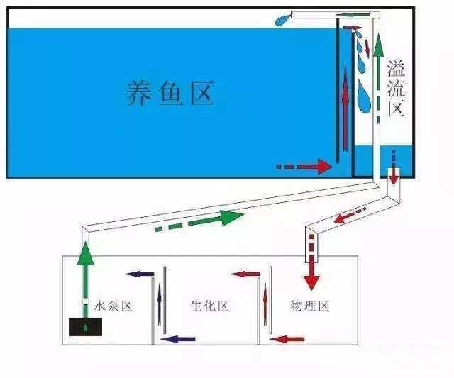 如何自制鱼缸上滤，如何自制鱼缸上滤器视频（鱼缸上滤系统想要改成底滤）