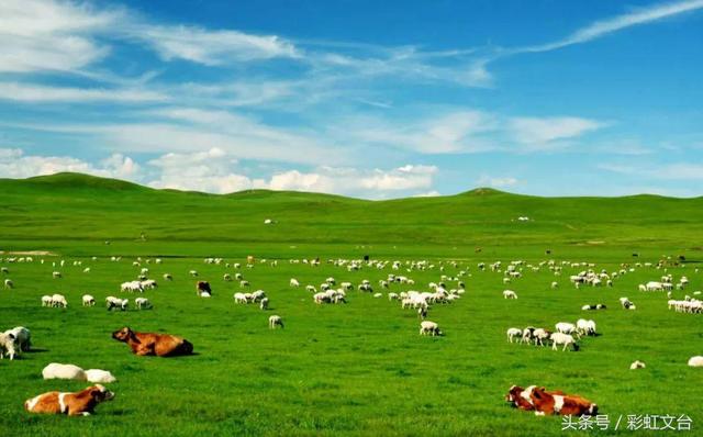 英雄泪原唱，英雄泪原唱简谱教唱（两首歌）