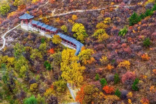 当时只道是寻常什么意思，人生若只如初见当时只道是寻常什么意思（季羡林：当时只道是寻常）