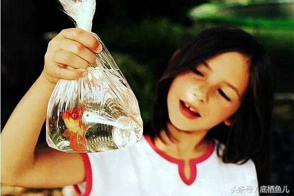 鱼缸的水浑浊怎么办怎么变清，让鱼缸水变清澈小方法（怎么快速有效的，解决鱼缸水浑）