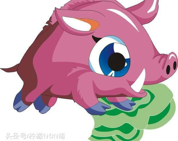 穷凶极恶打一生肖，十二生肖穷凶极恶是什么生肖（十二生肖歇后语大全及答案）