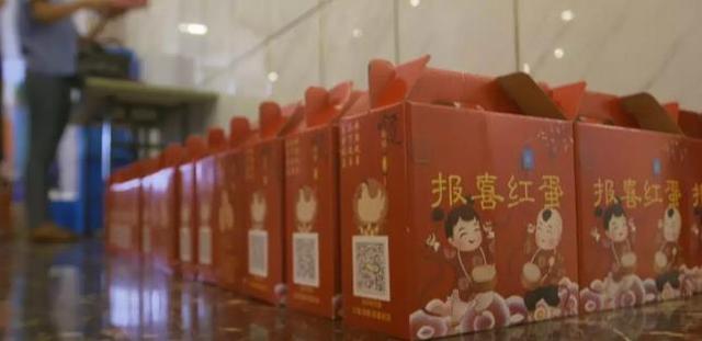 东山再起是谁，从负债百万到年入百万