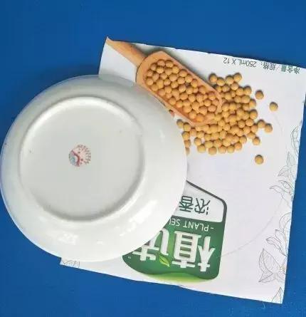 卡纸制作钟表模型，卡纸制作钟表模型视频（这是个多么有趣的小手工——“滴答滴答”的小钟表）