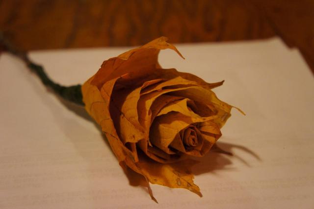 7一12岁手工简单又实用，7一12岁手工贺卡又简单又漂亮送给老师的（带孩子将一堆树叶变出王冠、昆虫和花朵）