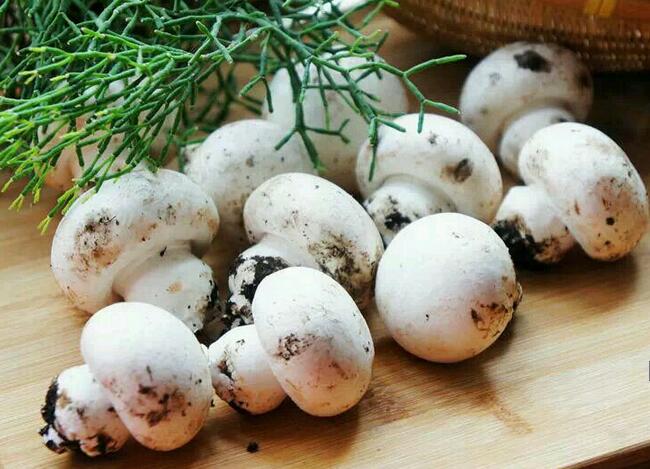 【素炒口蘑】做法步驟圖 鮮味滿屋 常吃病毒感冒遠離你-起舞食譜網