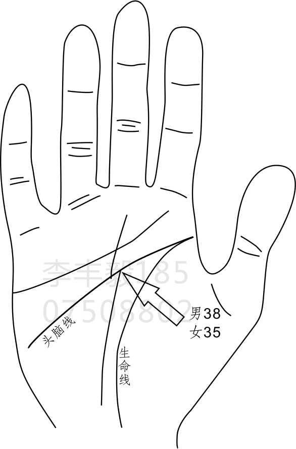 命运线有什么含义，什么是命运线,命运线多长为好（命运线和成功线）