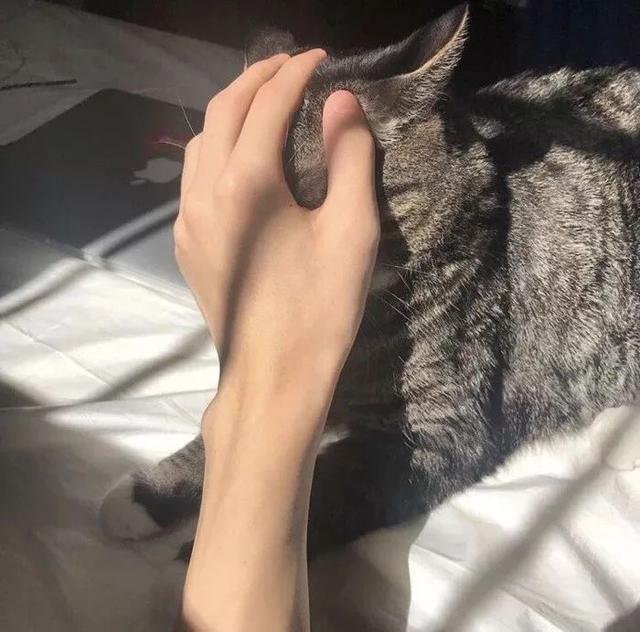 万箭穿心痛不痛，微信头像，万箭穿心痛不痛（男生头像‖我不怕万箭穿心）