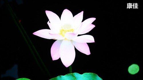 oppox1MP3屏幕不亮，oppo屏不亮了（六款55吋OLED电视横评）