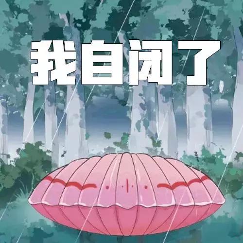 好听大气的女孩名字，大气的女孩名字（今日份沙雕表情包，请查收！）