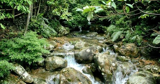 客家黄酒的做法，如何自酿客家黄酒（十张图片详解客家米酒是如何酿造的）