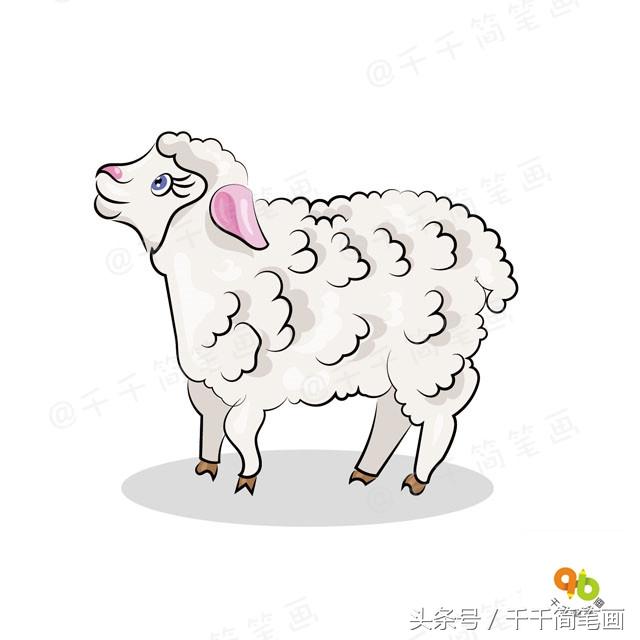 简单画一只可爱的小绵羊需要几步，简单可爱的绵羊怎么画（各种各样的小羊简笔画）