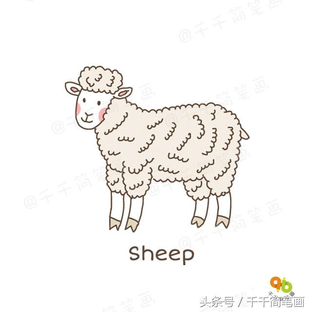 简单画一只可爱的小绵羊需要几步，简单可爱的绵羊怎么画（各种各样的小羊简笔画）