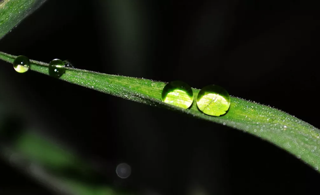 真美啊日语怎么说，真美啊日语怎么说中文谐音（日语里和“月”有关的词汇）