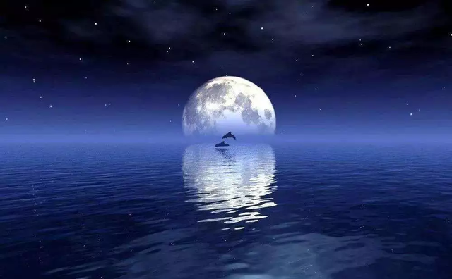 真美啊日语怎么说，真美啊日语怎么说中文谐音（日语里和“月”有关的词汇）