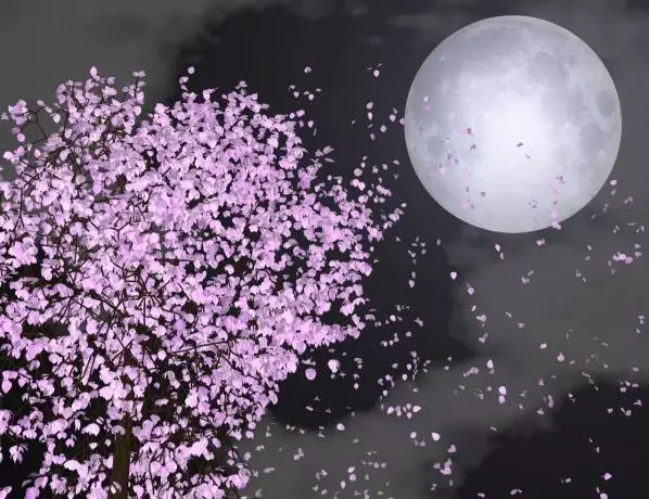 真美啊日语怎么说，真美啊日语怎么说中文谐音（日语里和“月”有关的词汇）