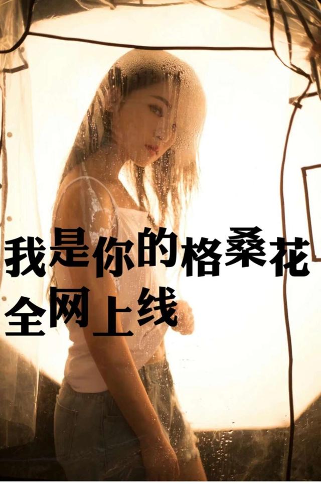 格桑花歌曲原唱，歌手王琪哪里人的简介（《我是你的格桑花》背后的故事）