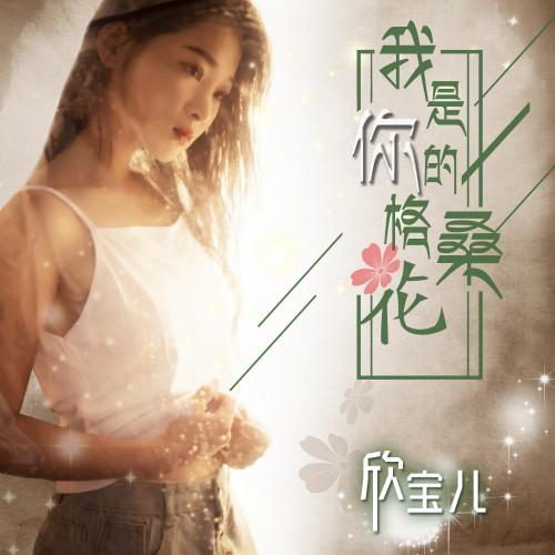 格桑花歌曲原唱，歌手王琪哪里人的简介（《我是你的格桑花》背后的故事）