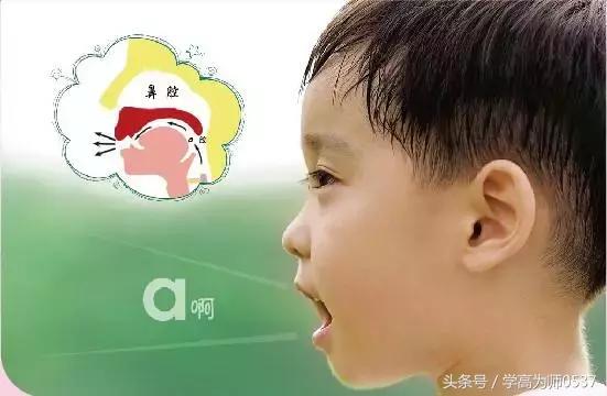 声母和韵母的拼读表,单韵母和声母拼读表(小学拼音声母韵母拼读全表) 声母和韵母的拼读表,单韵母和声母拼读表(小学拼音声母韵母拼读全表)