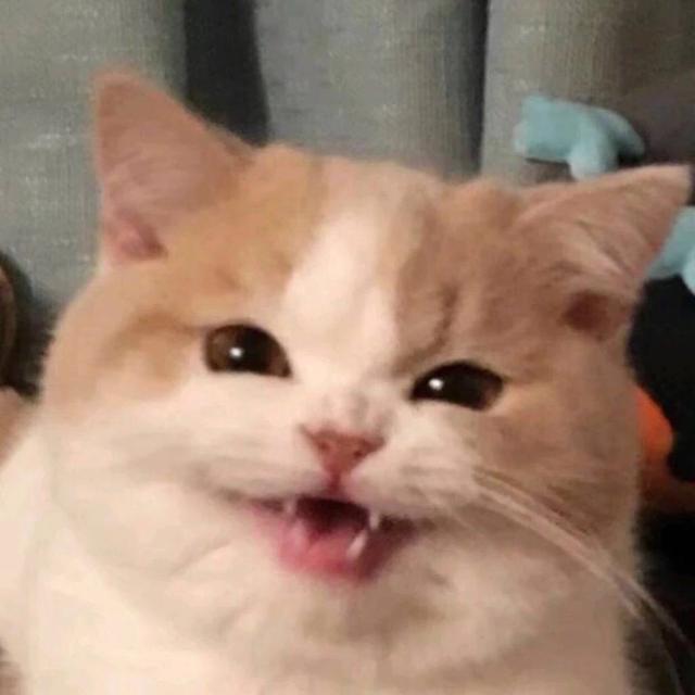 可爱萌宠头像 男女通用 可可爱爱又搞怪微信，可爱萌宠头像 男女通用 可可爱爱又搞怪（用了就会变可爱哟）