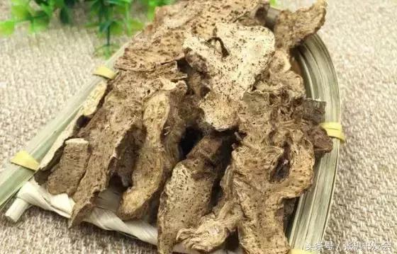 苍术的功效，苍术的功效与作用图片（中药苍术的功效药对配伍）