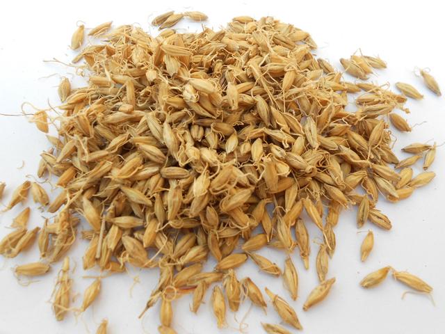 麦芽硒的作用，麦芽硒和酵母硒哪个好（女性备孕前查出HPV感染）