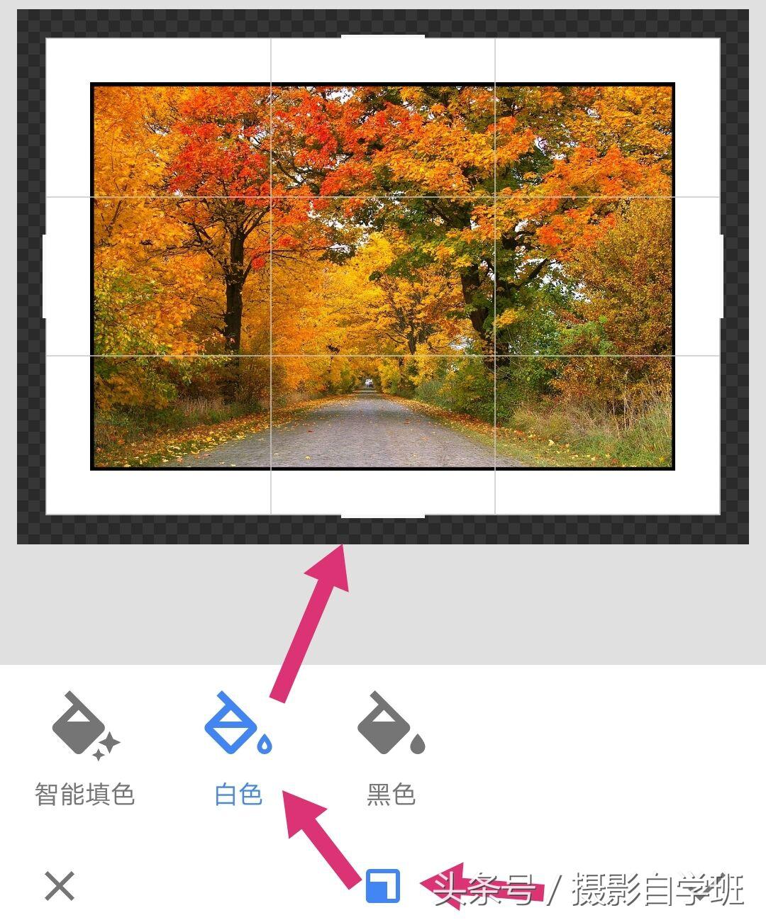 怎么p照片(怎么p蓝底的照片背景)