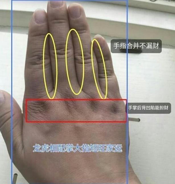 看手相到底看左手还是右手,手相算命故事左掌看先天命运 - 玉三网