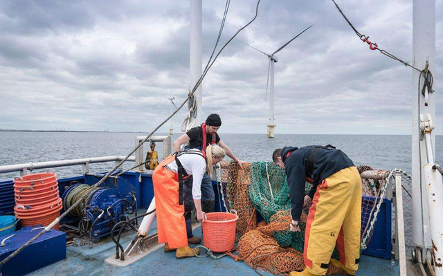 北海道渔场形成的原因，四大渔场形成原因（为何地理老师口中这个渔场名存实亡）