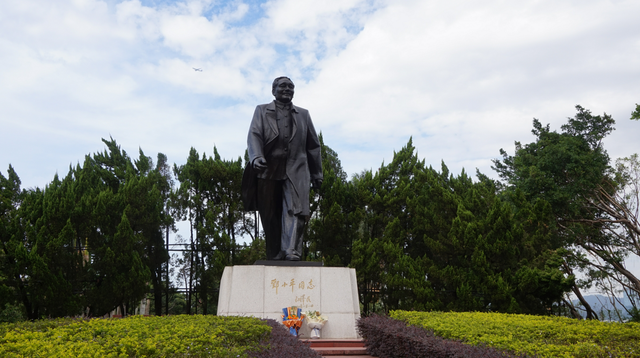 深圳市的市花是什么花，深圳的市花是什么花（这里藏着深圳的市花）