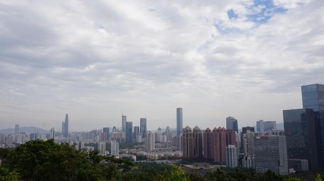 深圳市的市花是什么花，深圳的市花是什么花（这里藏着深圳的市花）