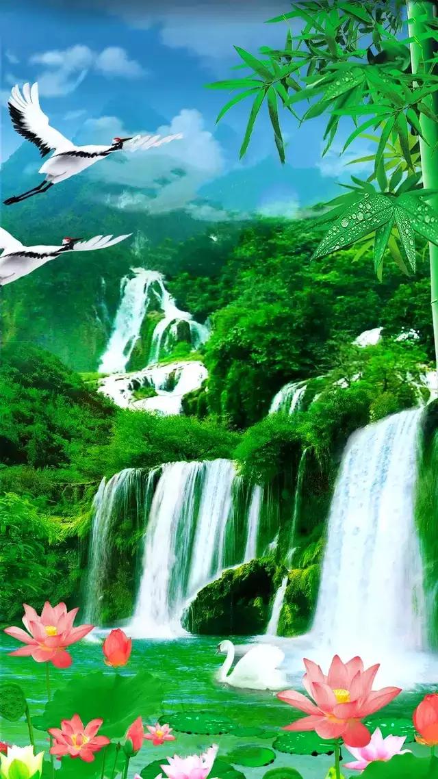 微信头像壁纸图片，适合当微信头像的壁纸（40张高清手机壁纸）