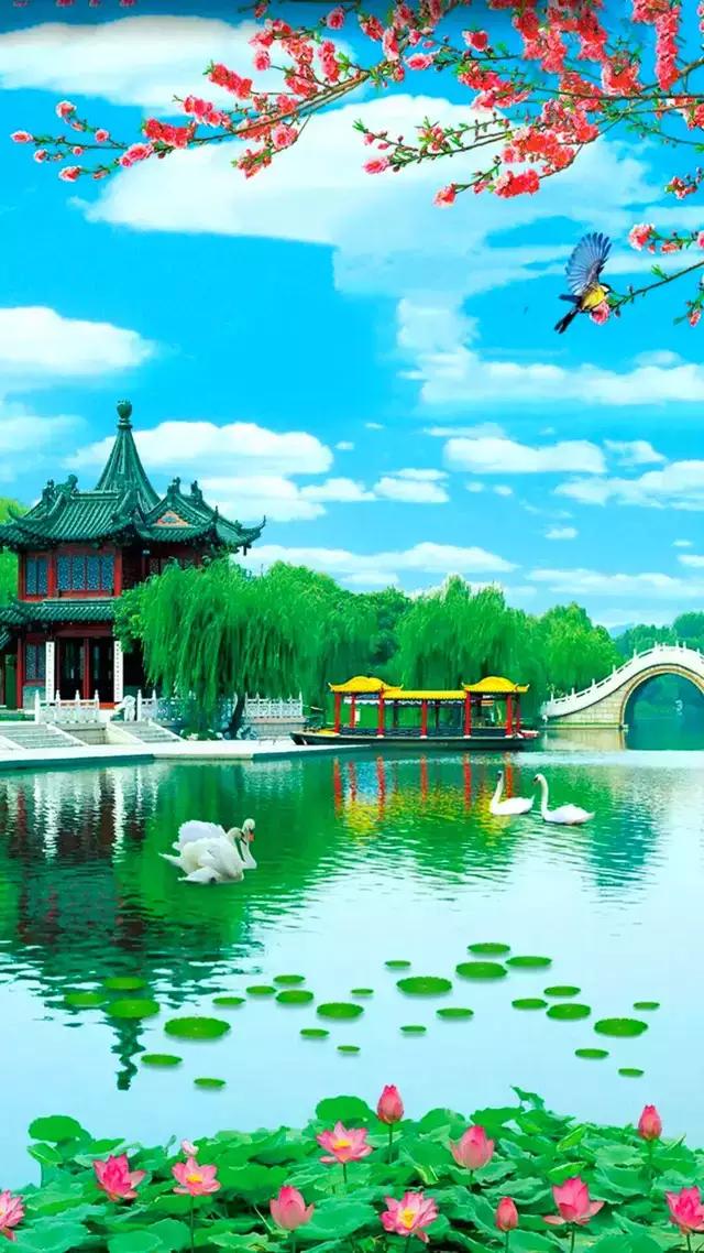 微信头像壁纸图片，适合当微信头像的壁纸（40张高清手机壁纸）