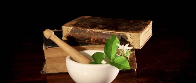 白术粉的功效与作用，白术粉的功效与作用吃法（中医丨小小白术功效多）