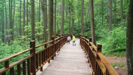 河南云台山玻璃栈道高度，带你体验河南玻璃栈道